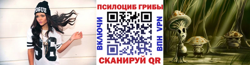 Купить где  Нарткала  Псилоцибиновые грибы MAGIC MUSHROOMS 
